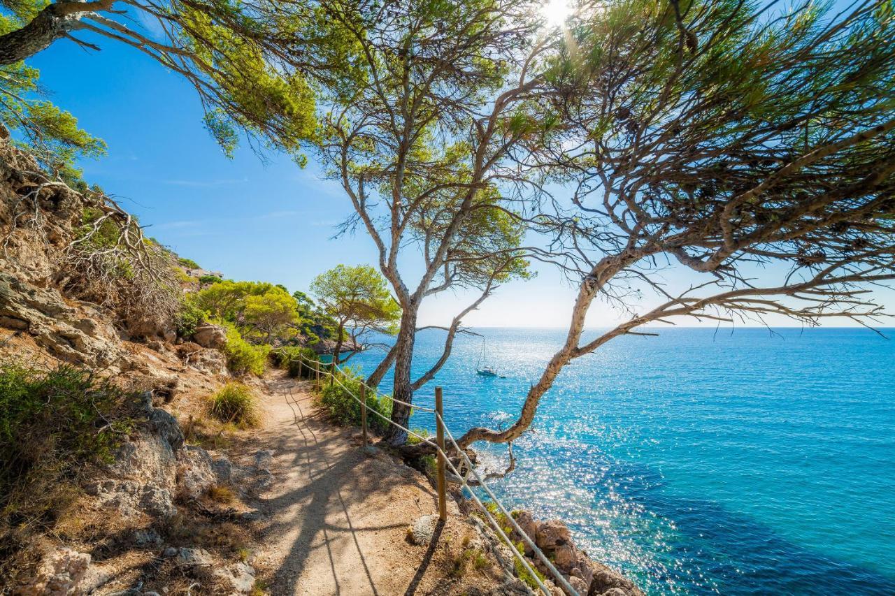 Massanet 2c Canyamel (Mallorca)