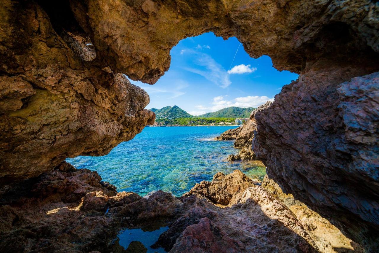 Massanet 2c Apartamento Canyamel (Mallorca)